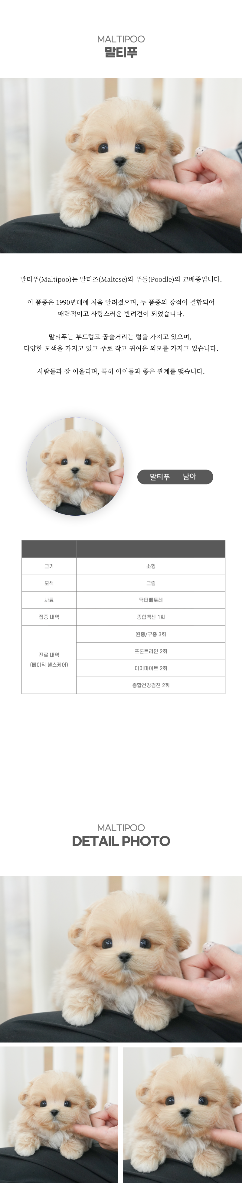 말티푸_상세이미지_2